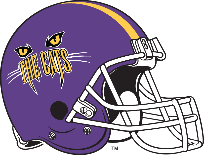 Western Carolina Catamounts 1996-2007 Helmet Logo iron on transfers for T-shirts